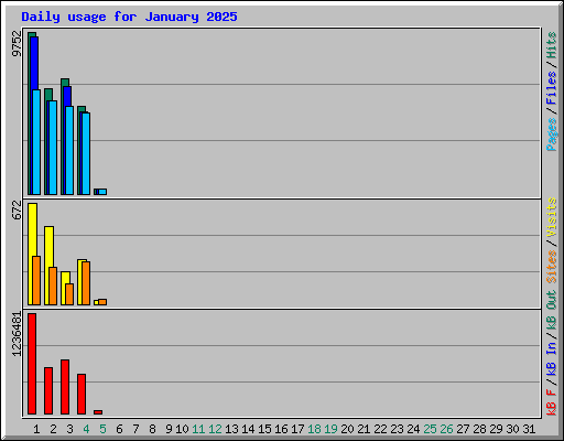 Daily usage for January 2025