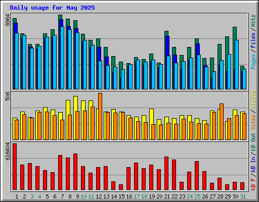 Daily usage for May 2025