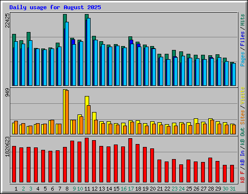 Daily usage for August 2025