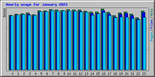 Hourly usage for January 2023