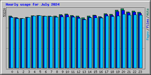 Hourly usage for July 2024