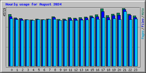 Hourly usage for August 2024