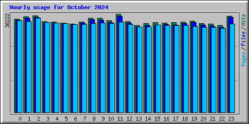 Hourly usage for October 2024