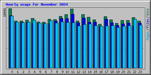 Hourly usage for November 2024