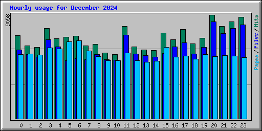 Hourly usage for December 2024