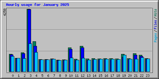 Hourly usage for January 2025