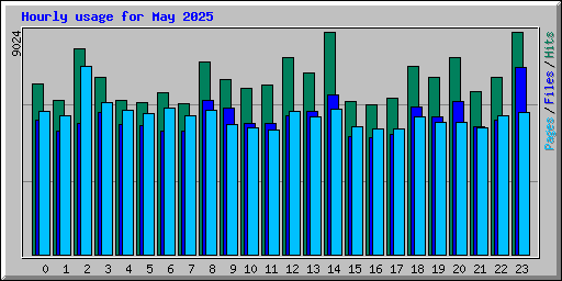 Hourly usage for May 2025