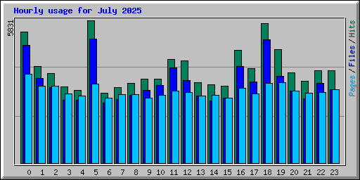 Hourly usage for July 2025