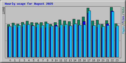 Hourly usage for August 2025