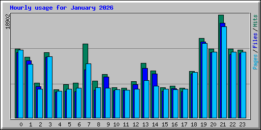 Hourly usage for January 2026